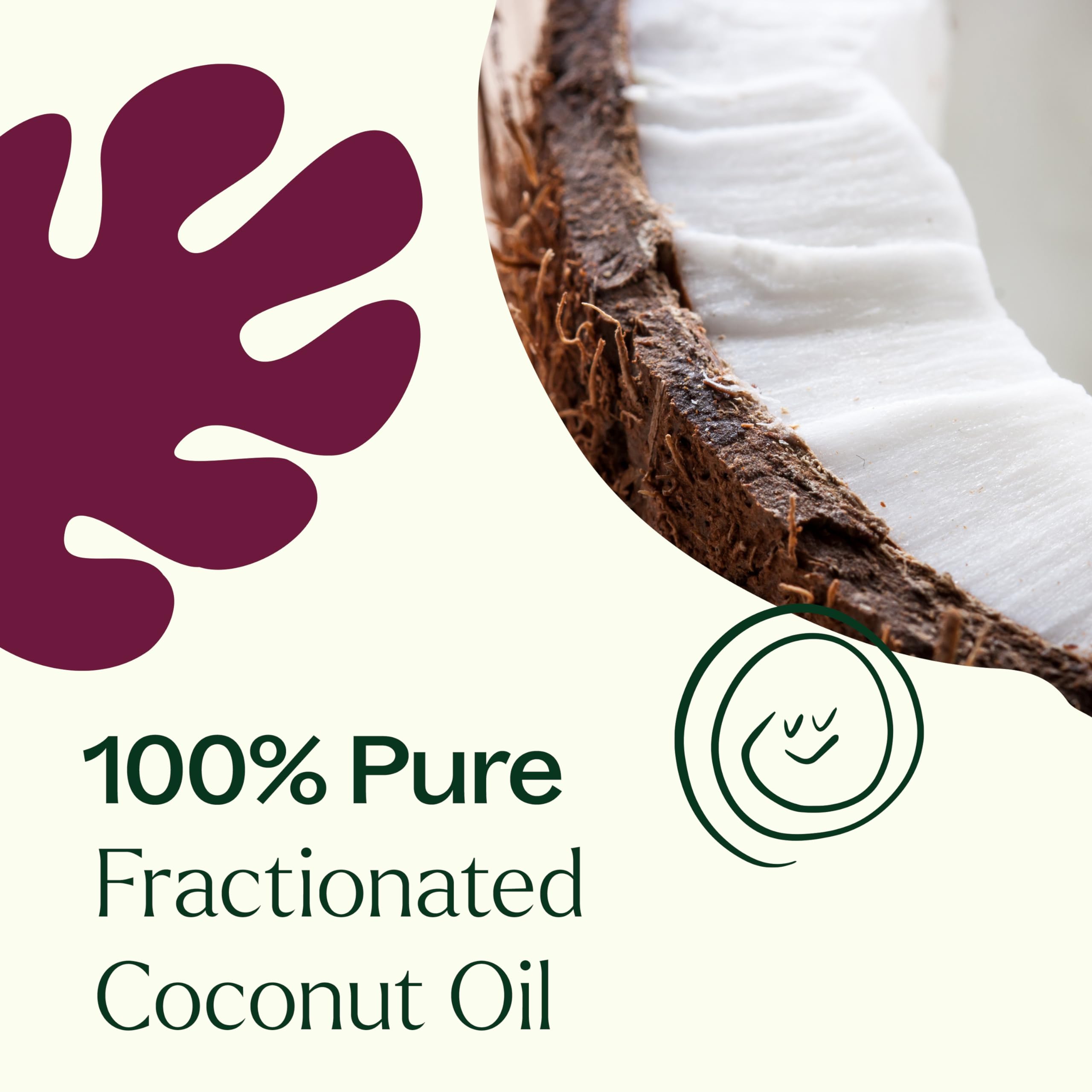 Plant Therapy Aceite Coco Fraccionado Orgánico envasado de 473 ml para uso diario.