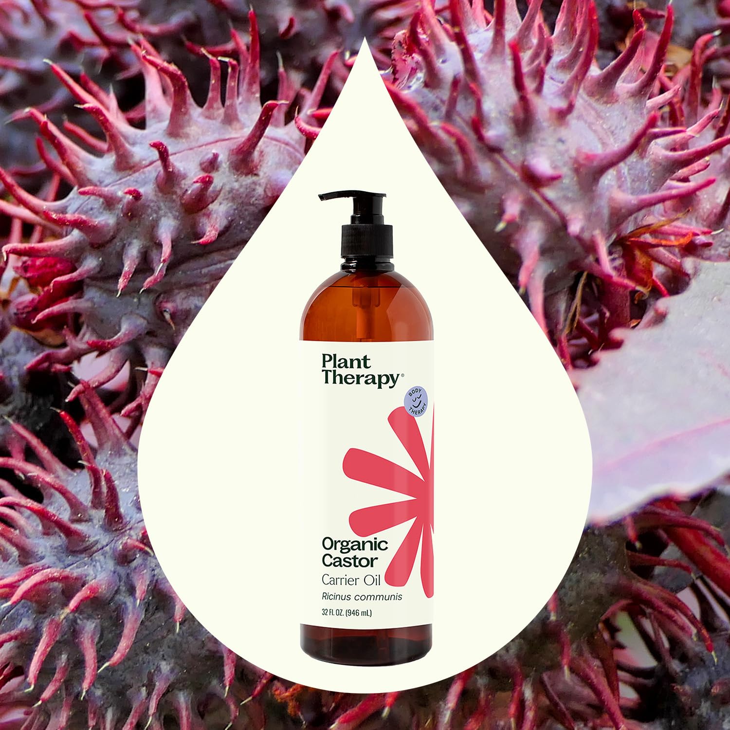 Plant Therapy aceite de ricino orgánico vertido en cucharita