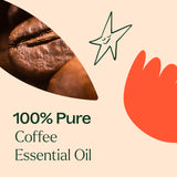 Plant Therapy café-pruebas-gcms: control de calidad por lote