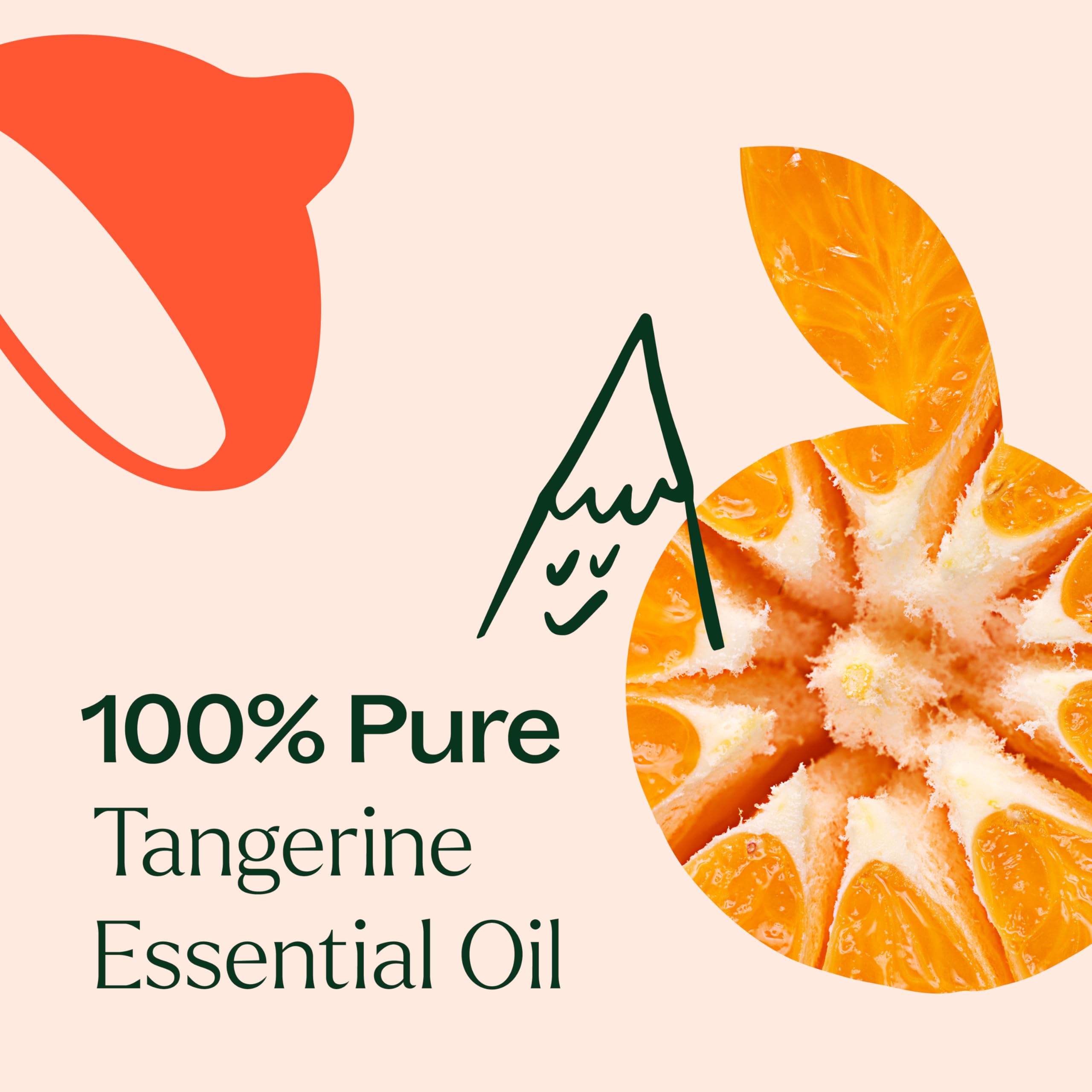Plant Therapy Mandarina: uso para masaje abdominal con dilución adecuada.