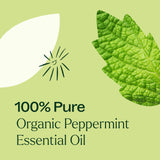 Cosmética casera con Plant Therapy Aceite Menta Orgánico