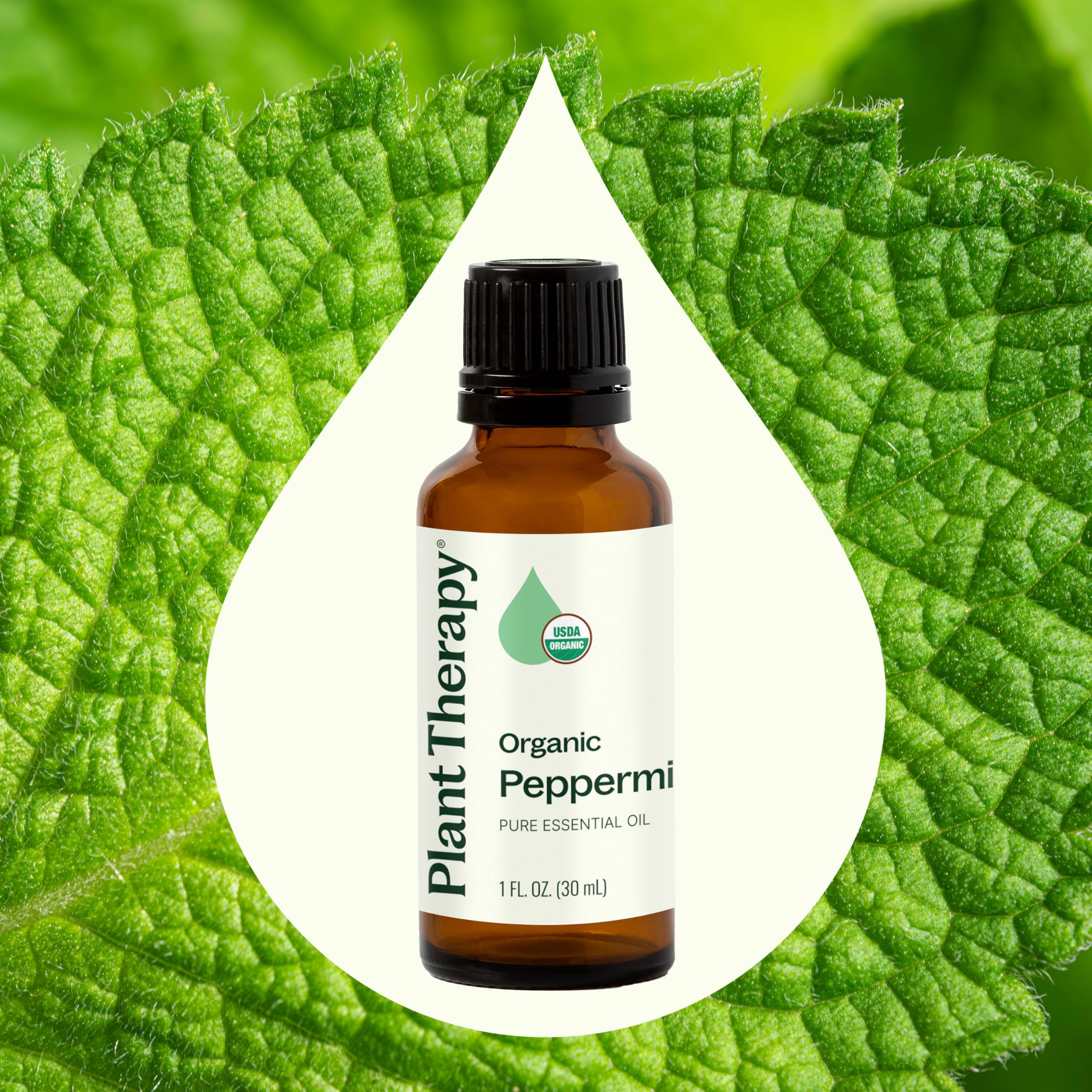 Aceite Plant Therapy Menta Orgánico diluido al 1-2% para masajes