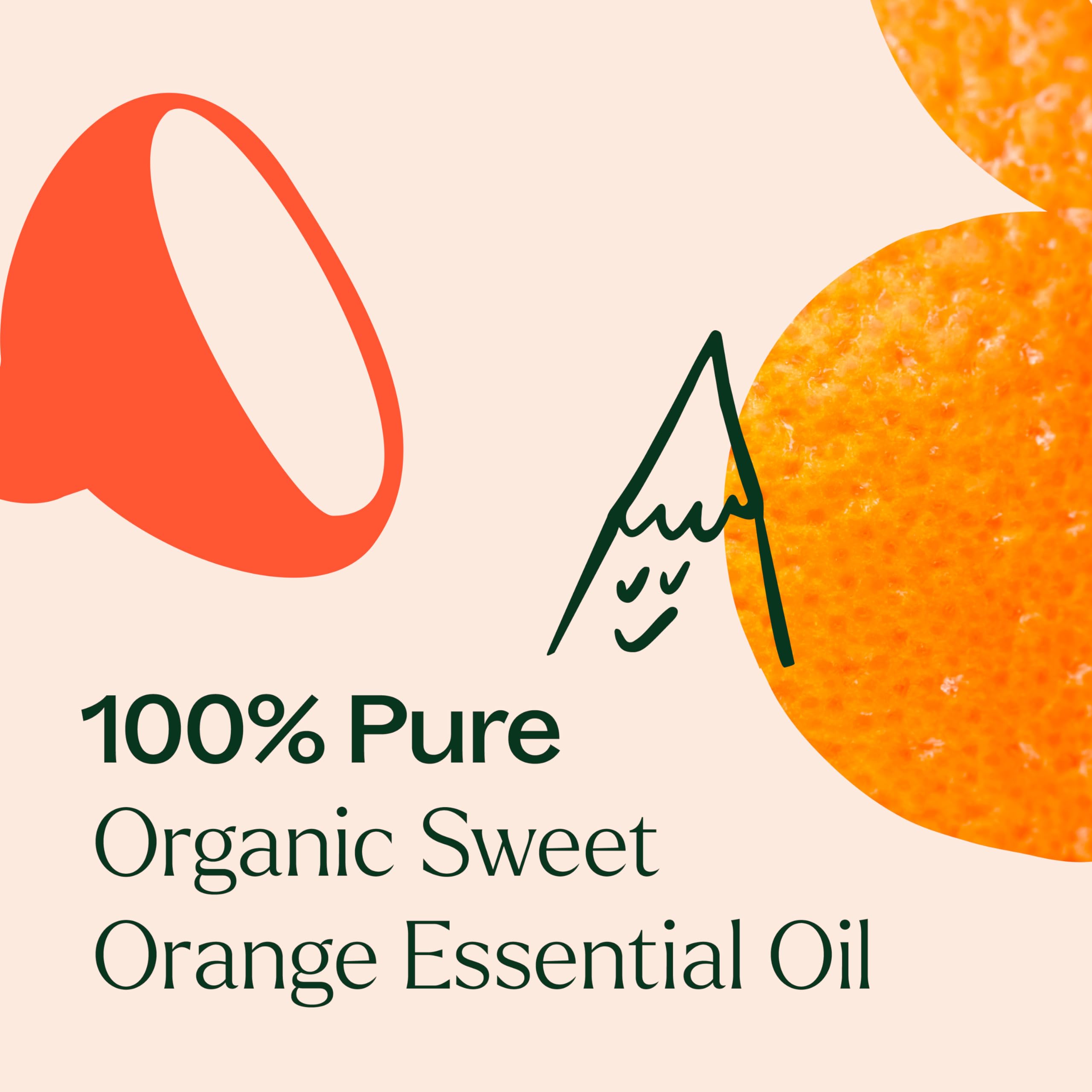 Aceites de Plant Therapy de alta calidad a precio asequible para uso diario.