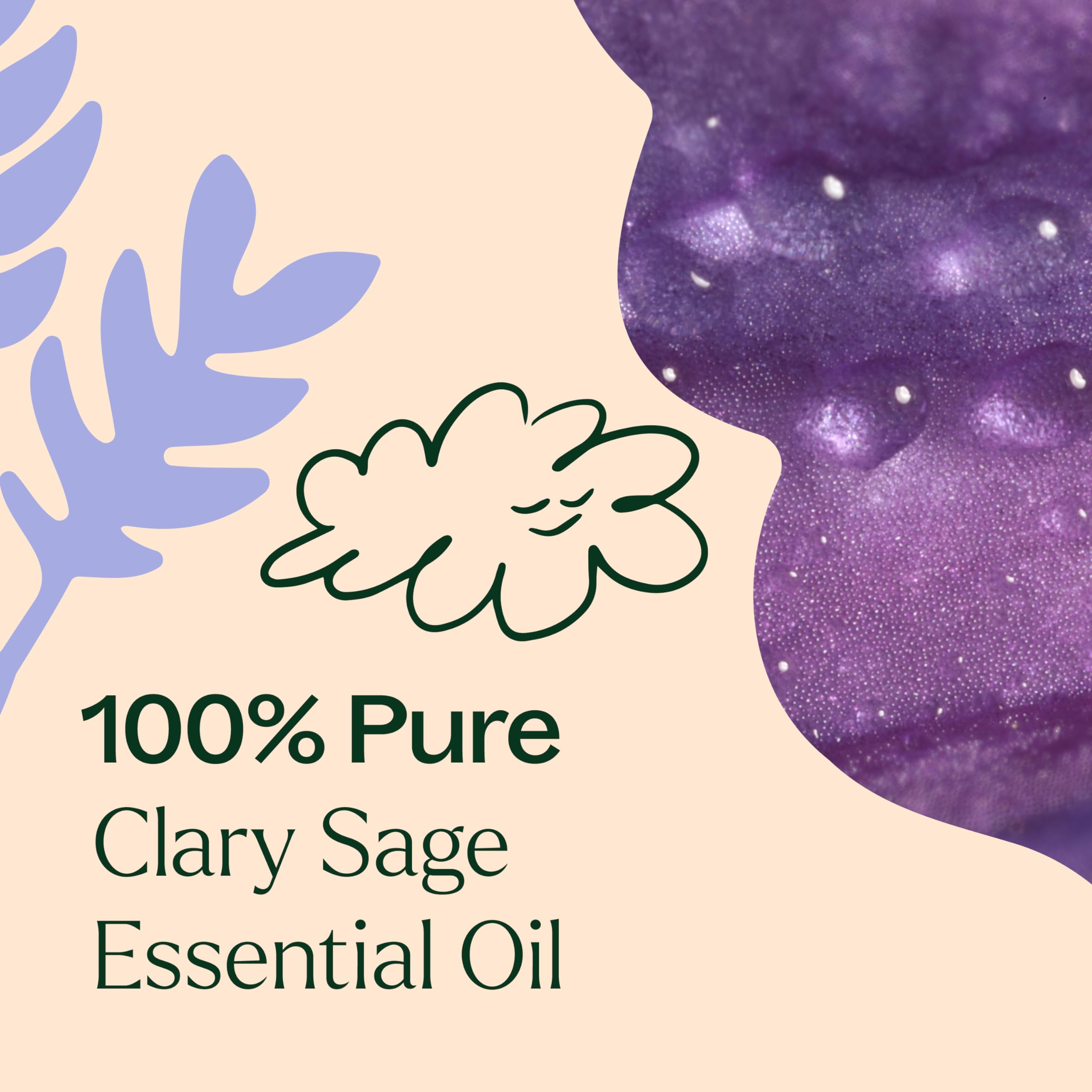 Aroma terroso y floral de Clary Sage para experiencia sensorial equilibrada