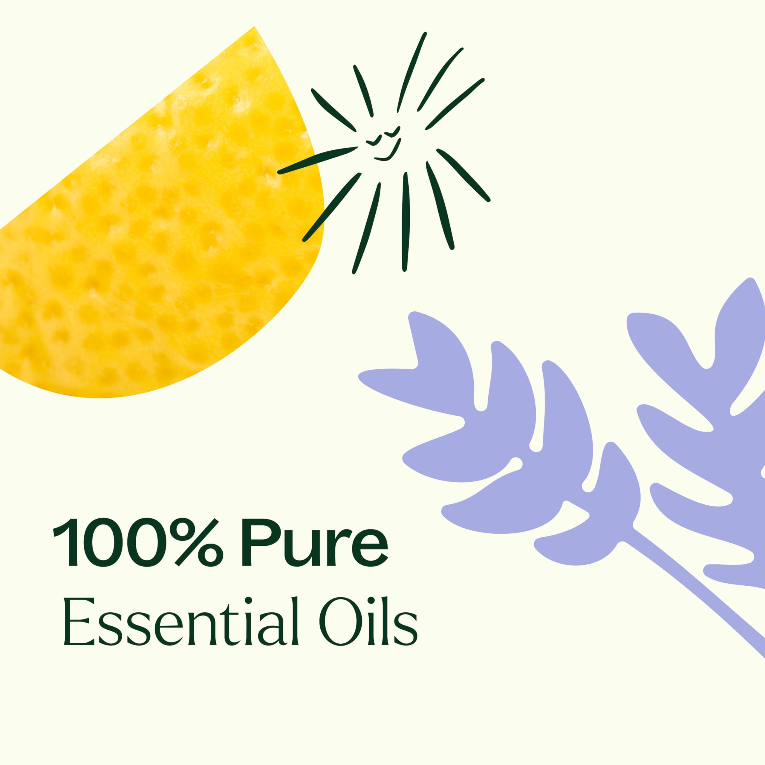 Plant Therapy Breathe Easy: botella de Árbol de Té para uso versátil