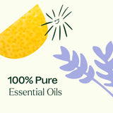 Plant Therapy Breathe Easy: botella de Árbol de Té para uso versátil