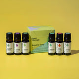 Plant Therapy Breathe Easy: difusor listo para ambientar espacios