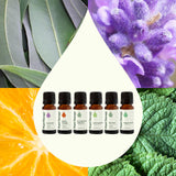 Plant Therapy Breathe Easy: botella de Menta para alerta y claridad