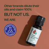 Plant Therapy sérum con incienso serrata para cuidado de la piel