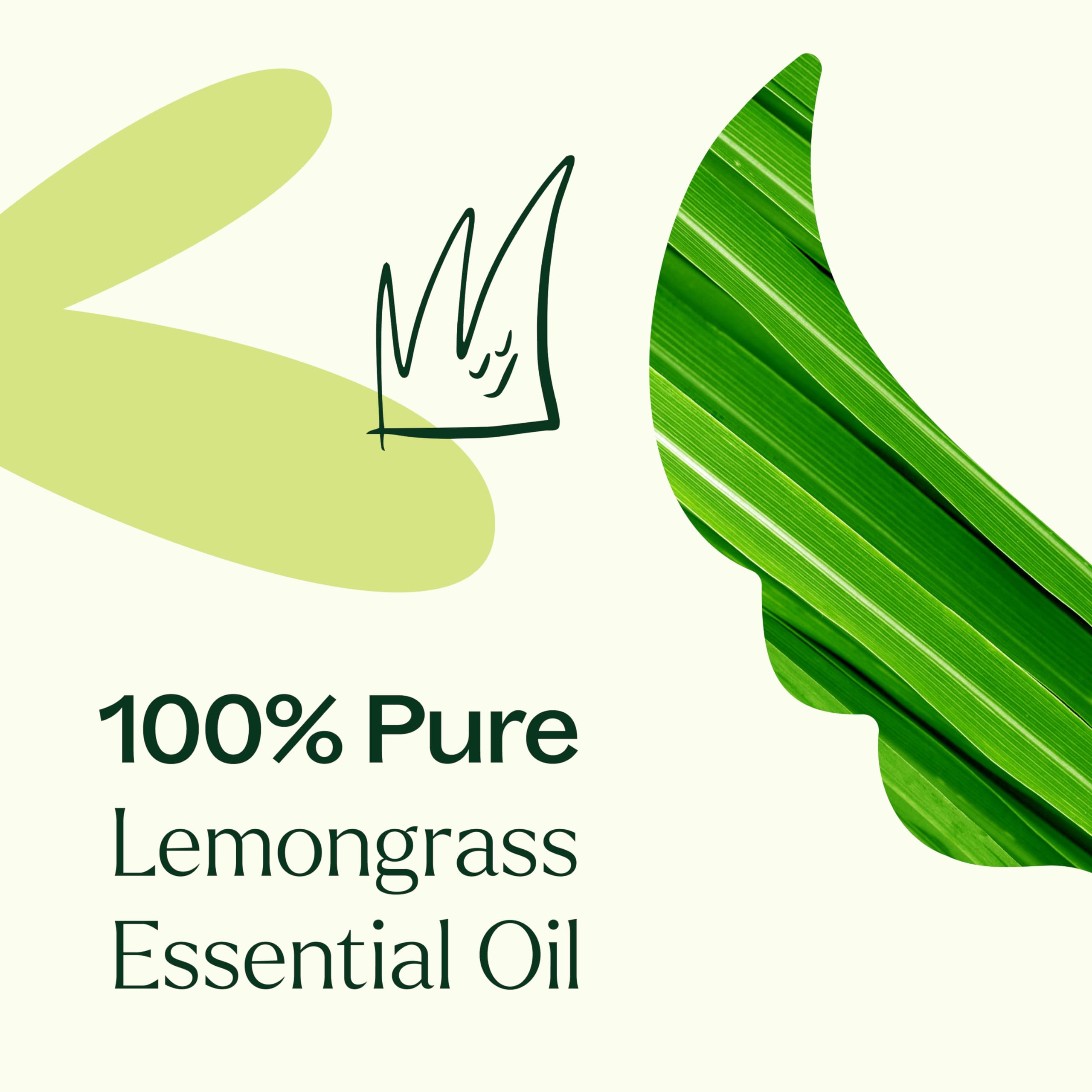 Plant Therapy citronela para difusor, aroma energizante para espacios pequeños.
