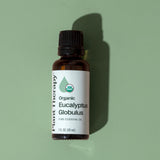 Plant Therapy Eucalyptus Globulus: aroma fresco para sesiones de estudio o meditación.