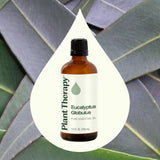 Plant Therapy Eucalipto Globulus uso en piel: aplicación diluida para cuidado suave.