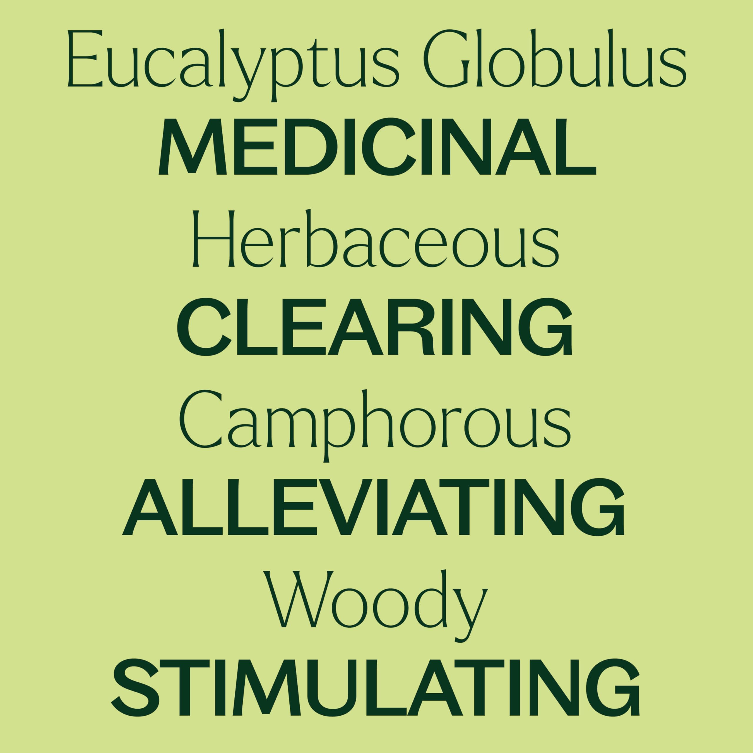 Plant Therapy Eucalipto Globulus: difusor en oficina para concentración y claridad