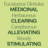 Plant Therapy Eucalipto Globulus: difusor en oficina para concentración y claridad