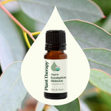 Plant Therapy Eucalipto Globulus: gotas de aceite para uso en difusor