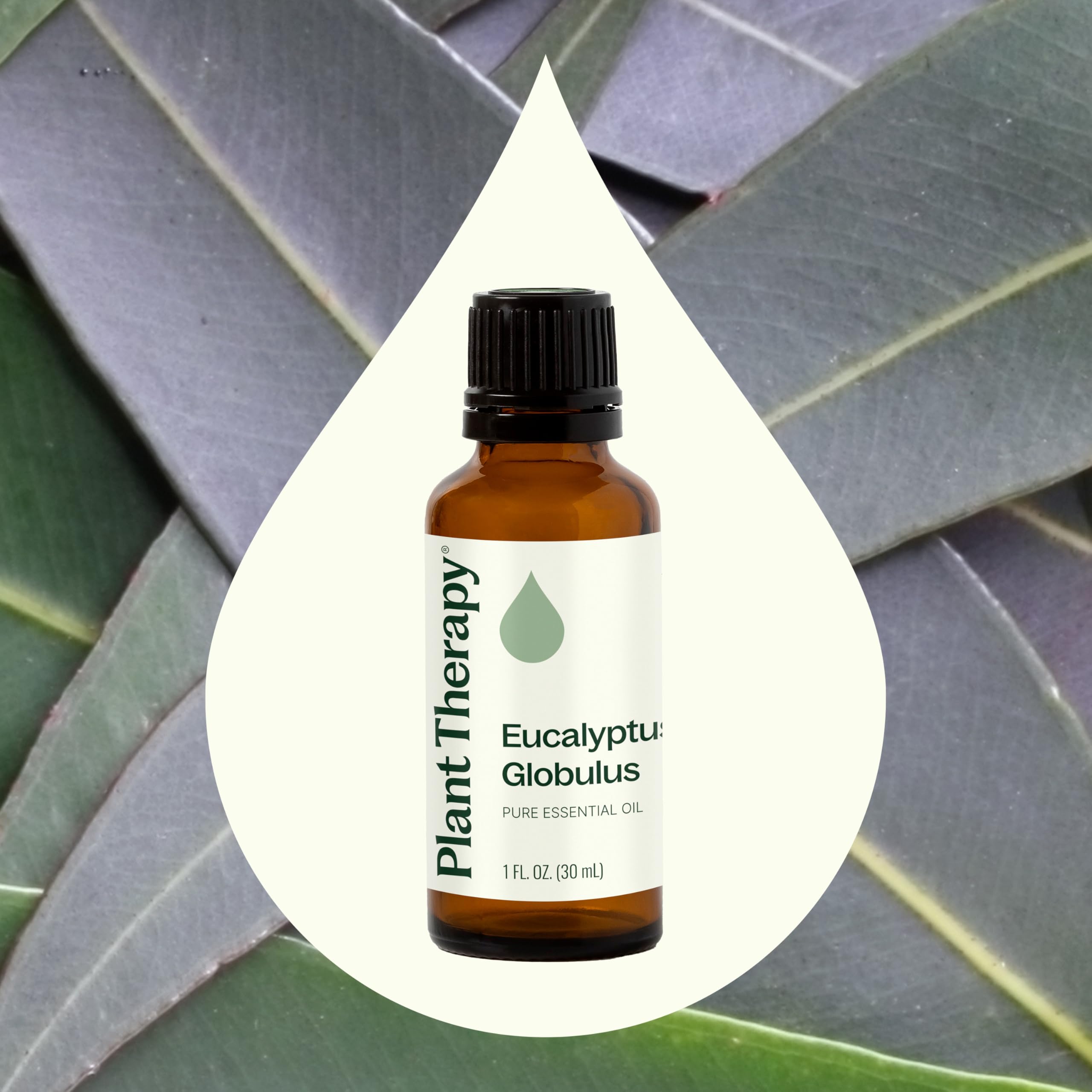 Plant Therapy Eucalipto Globulus, uso tópico diluido para piel suave.