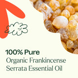 Plant Therapy Frankincense Serrata: aromaterapia en casa para bienestar.