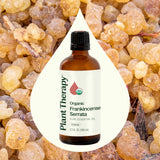 Plant Therapy Frankincense Serrata: difusor en casa para ambiente relajante.