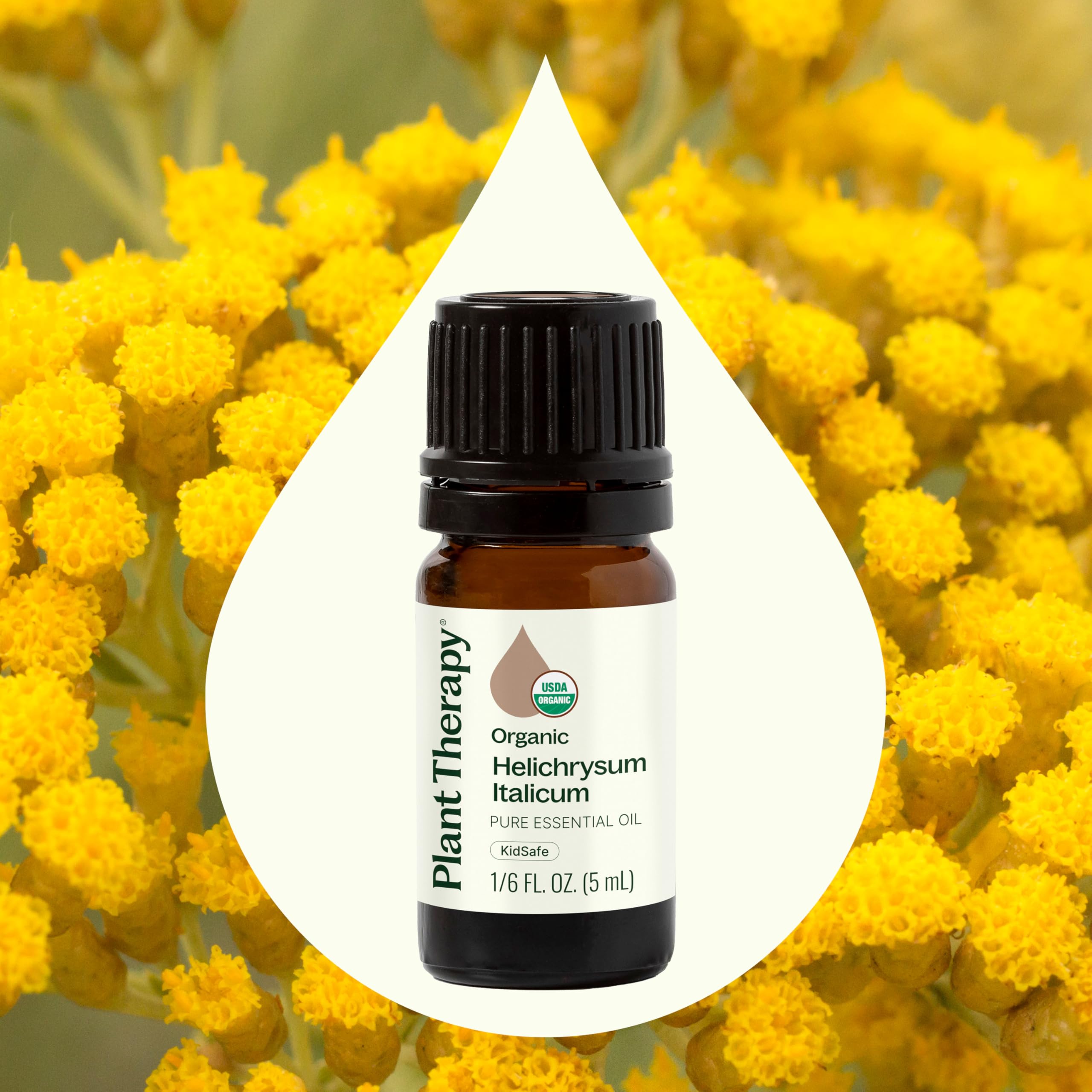 Gotas listas para difusor Plant Therapy Helichrysum Italicum