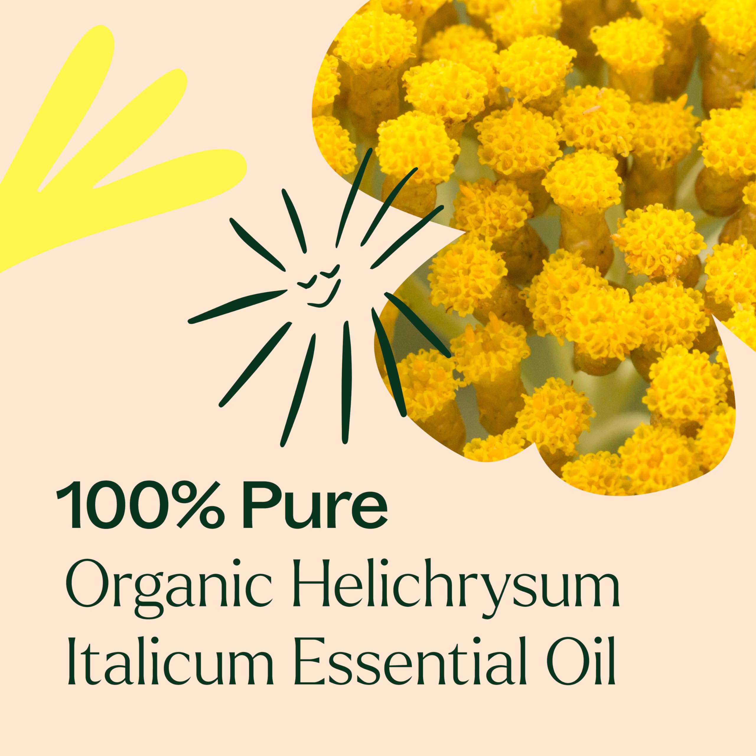 Informe GC-MS del Helichrysum Italicum de Plant Therapy