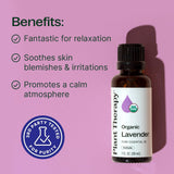 Plant Therapy Lavanda orgánica lista para difusor, aroma nocturno suave.