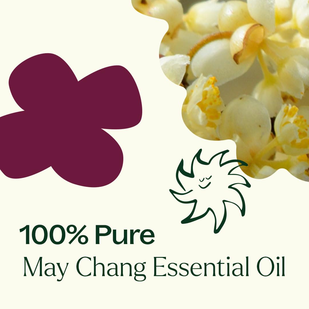 Plant Therapy May Chang: aroma cítrico que favorece la concentración.