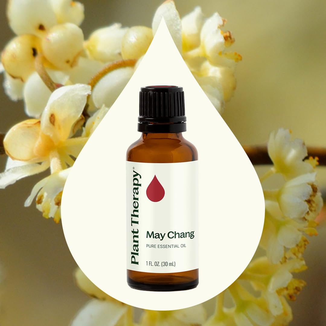 Plant Therapy May Chang: difusor emite aroma revitalizante para espacios.