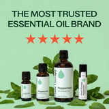Aplicación tópica de Plant Therapy Menta para sensación fresca en la piel.