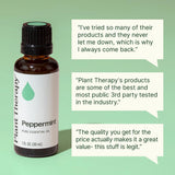 Masaje relajante con Plant Therapy Menta para aliviar tensiones.