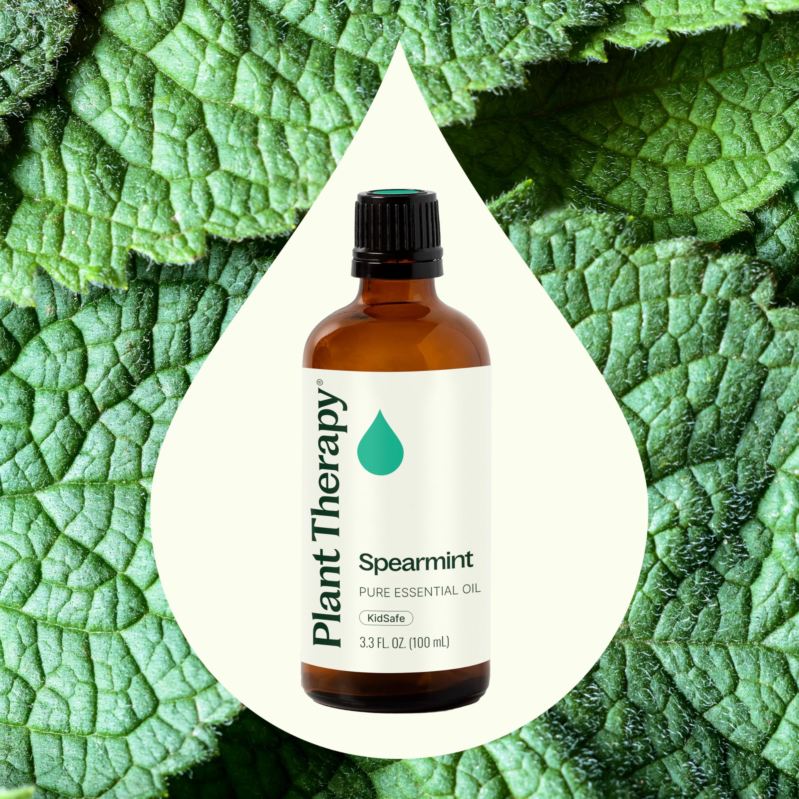 Plant Therapy Menta Verde: alivio suave de tensión con aplicación tópica.