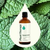 Plant Therapy Menta Verde: alivio suave de tensión con aplicación tópica.