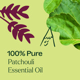 Plant Therapy Patchouli: hojas de Pogostemon cablin, origen natural.