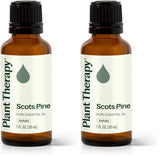 Plant Therapy Pino Escocés 30 mL pack de 2: aroma fresco para respirar mejor
