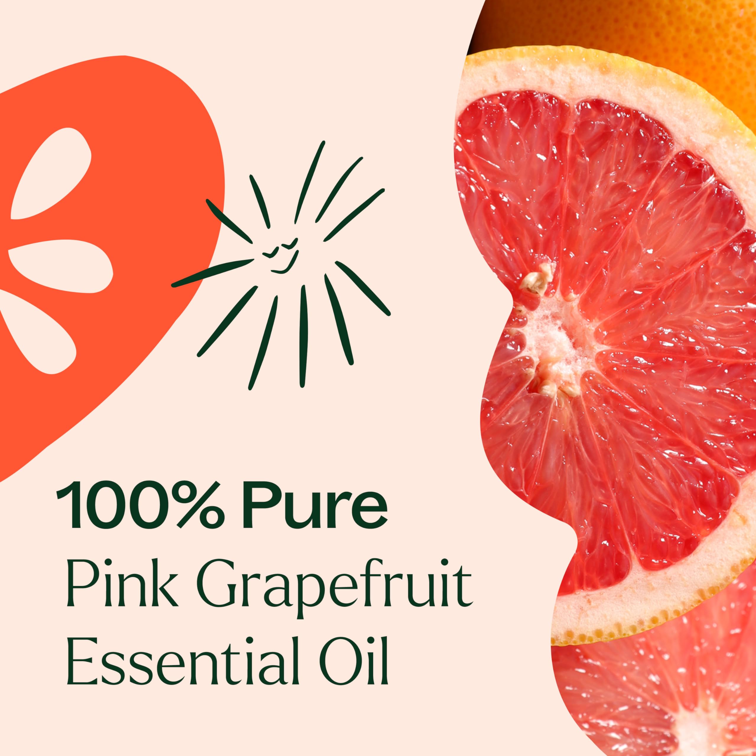 Plant Therapy Pomelo Rosa, informe GC-MS de lote para garantizar calidad.