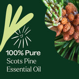 Plant Therapy lote GC-MS específico para cada botella