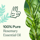 Plant Therapy Romero Aroma: aroma fresco y herbáceo para difusiones diarias.