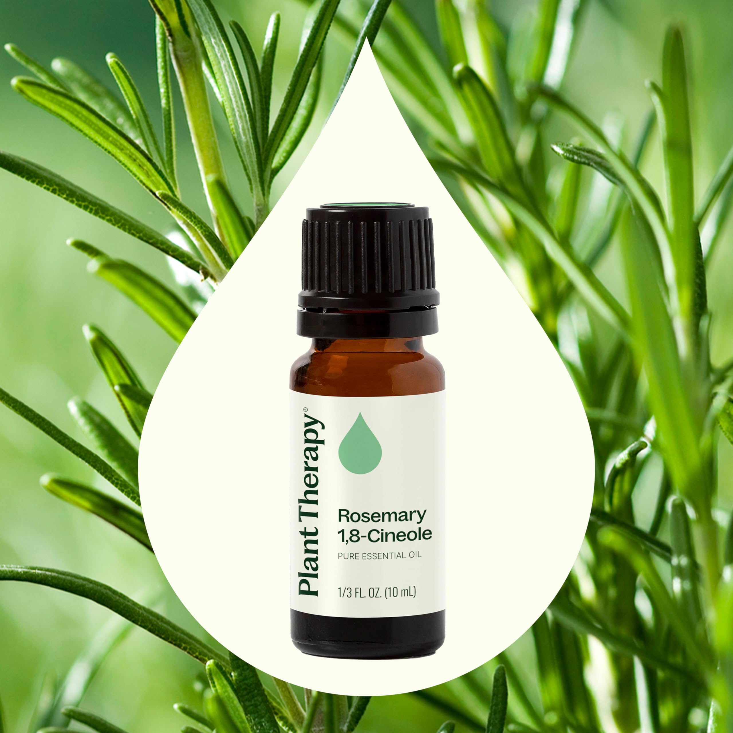 Plant Therapy Romero Difusor: aroma herbáceo en difusor para ambiente agradable.