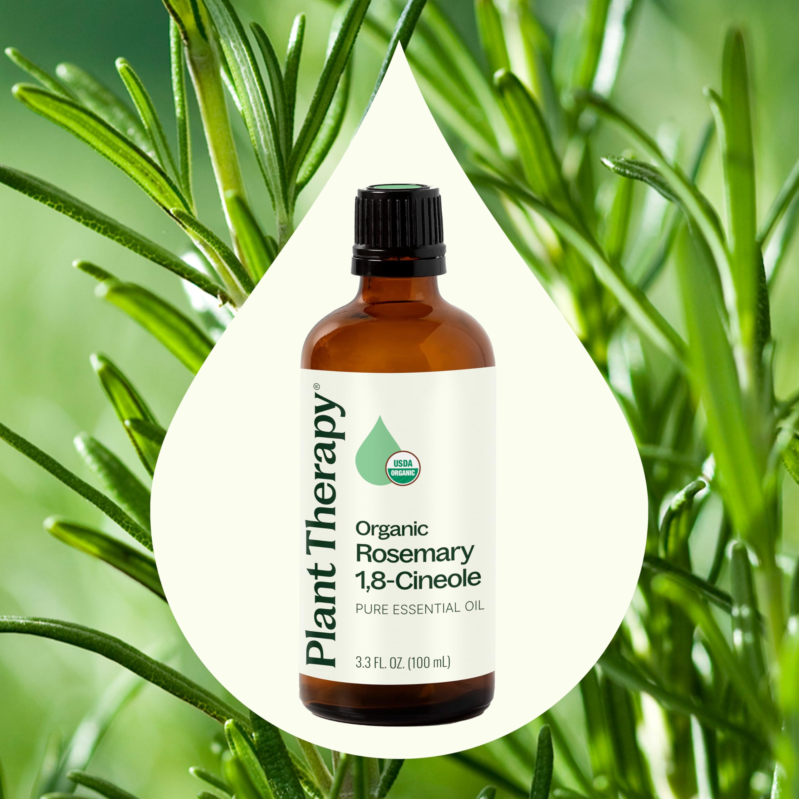 Plant Therapy Romero Orgánico, difusor resaltando beneficios aromáticos para el hogar
