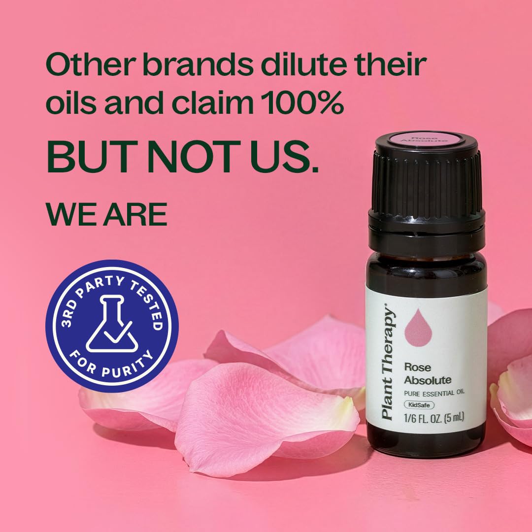 Plant Therapy Rose Absolute, perfume natural, perfuma la habitación con suavidad duradera.