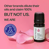 Plant Therapy Rose Absolute, perfume natural, perfuma la habitación con suavidad duradera.