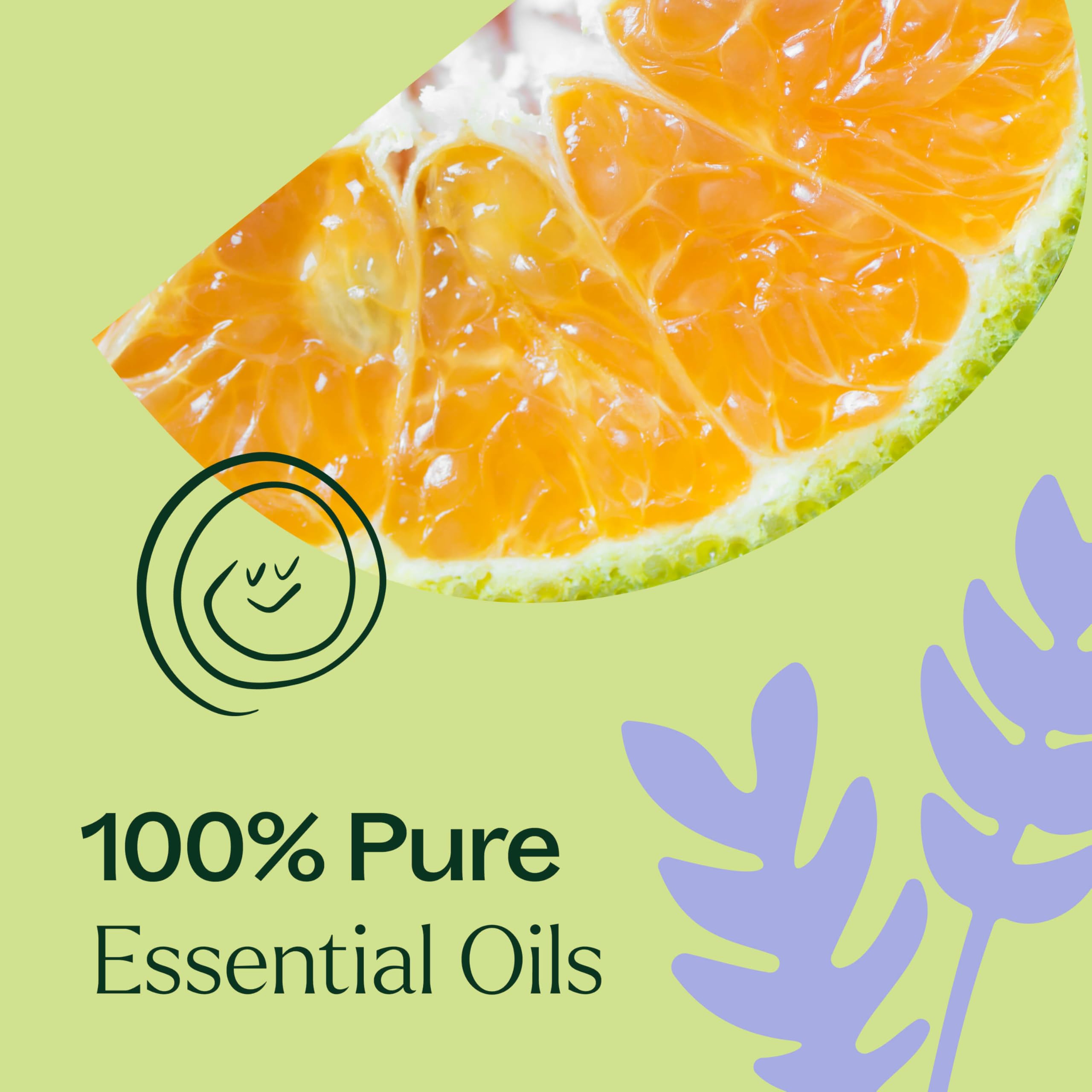 Ingredientes Sleep Tight: lavanda, mandarina, naranja amarga y lúpulo