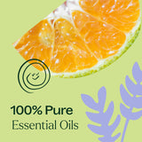 Ingredientes Sleep Tight: lavanda, mandarina, naranja amarga y lúpulo