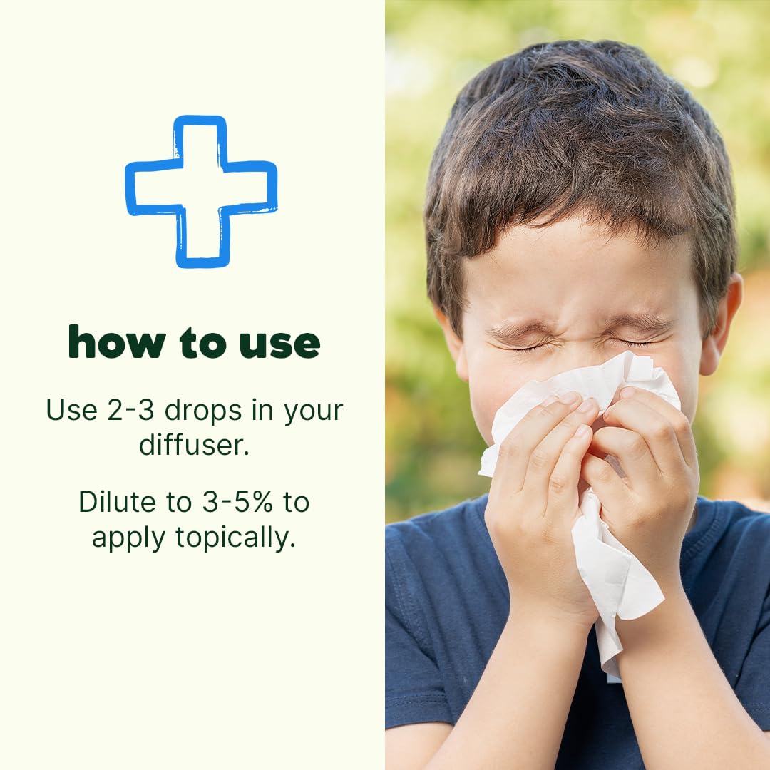 Ingredientes naturales de Plant Therapy Sniffle Stopper, ideal para apoyar la respiración suave.