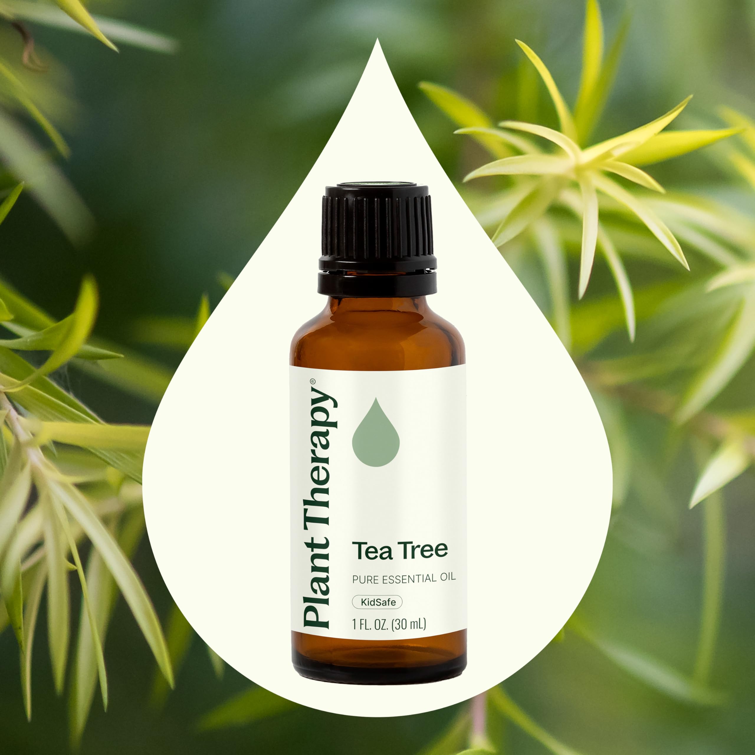Plant Therapy Tea Tree: uso tópico diluido para cuidado de la piel
