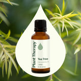Plant Therapy Tea Tree: uso tópico diluido para cuidado de la piel