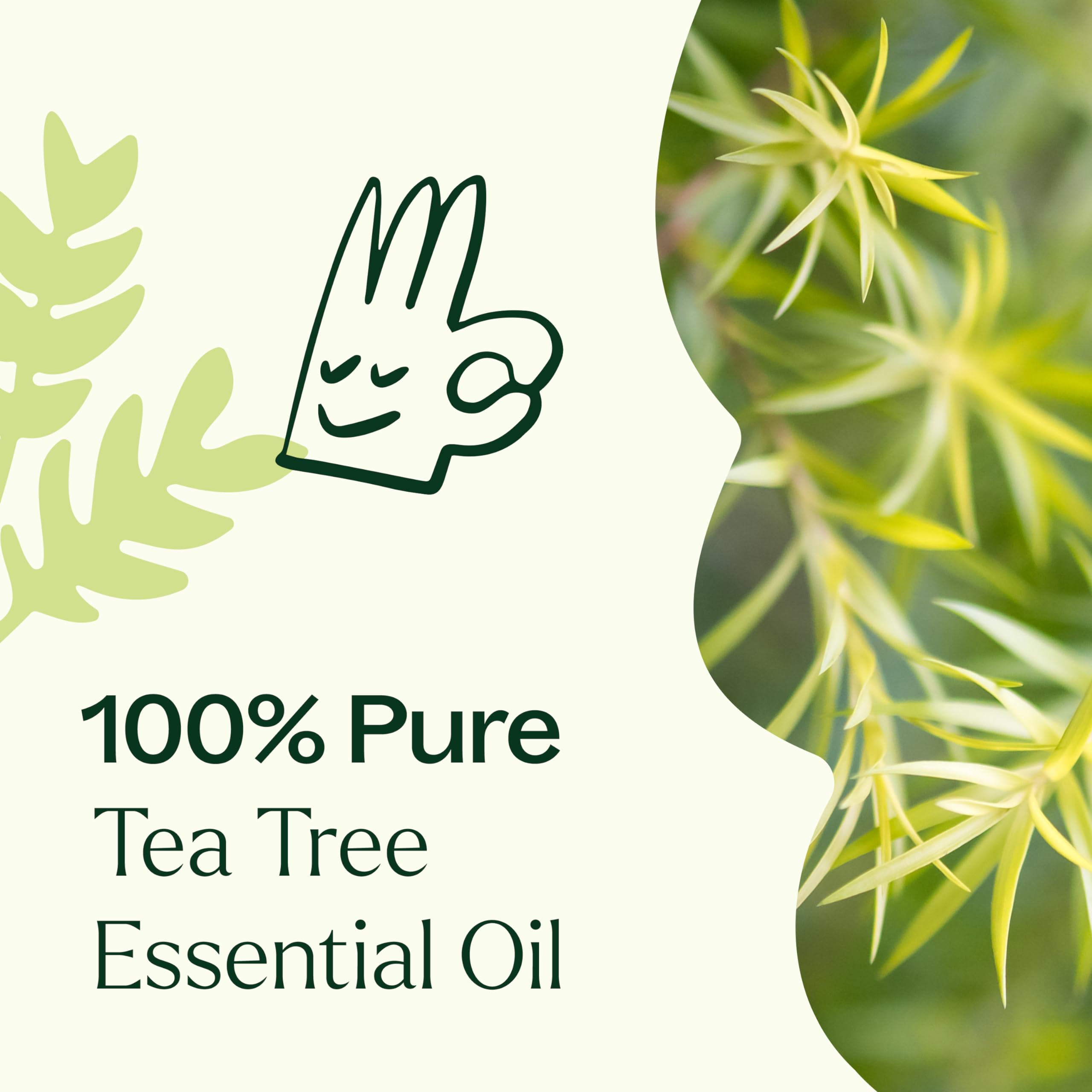 Plant Therapy Tea Tree: etiqueta y frasco para limpiador casero