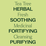 Plant Therapy Tea Tree: purificación del aire en interiores