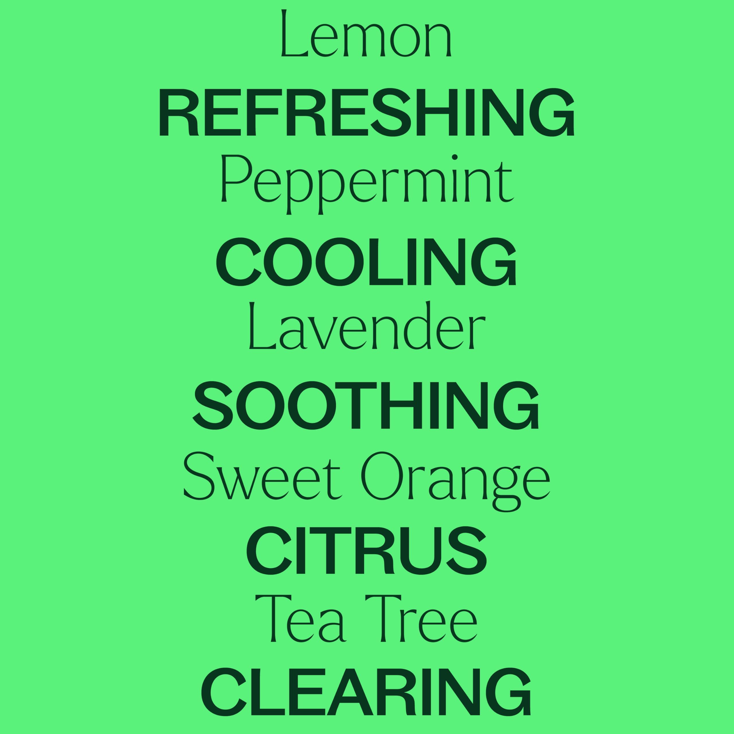 Plant Therapy Top 14 Aceites Esenciales árbol de té botella: limpieza suave del hogar