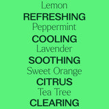 Plant Therapy Top 14 Aceites Esenciales árbol de té botella: limpieza suave del hogar