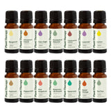 Plant Therapy Top 14 Aceites Esenciales lavanda botella: relajación suave y difusión